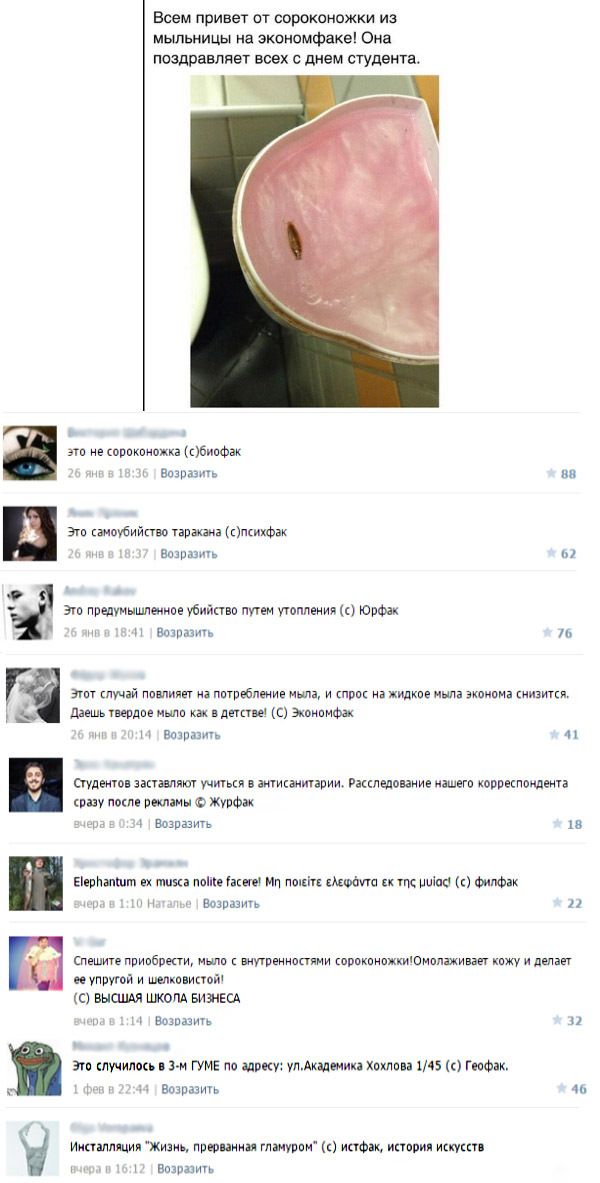 Порция картинок