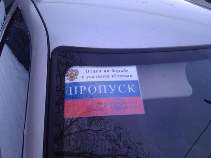 Порция картинок