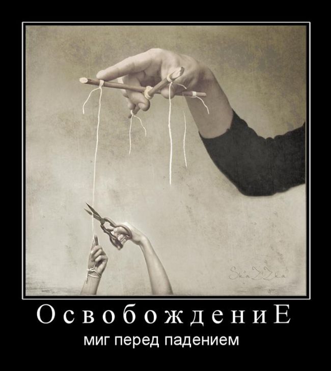 Демотиваторы