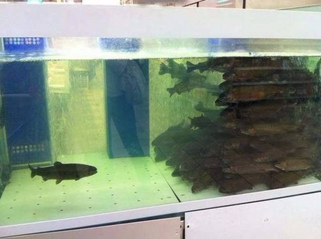 Дерьмо случается