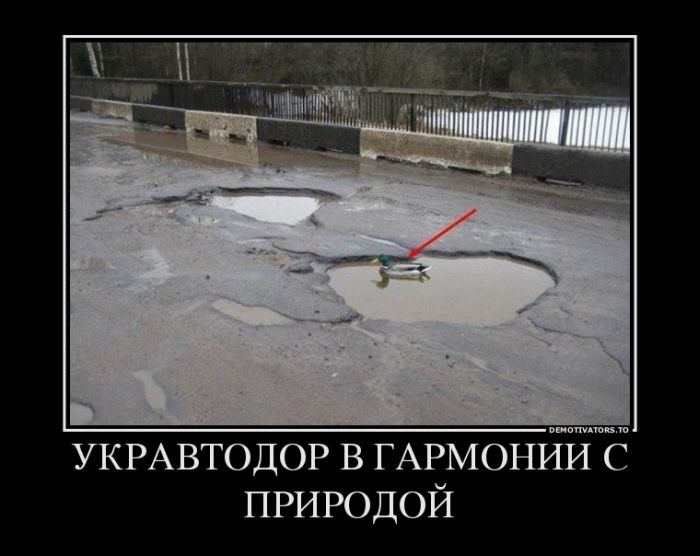 Демотиваторы