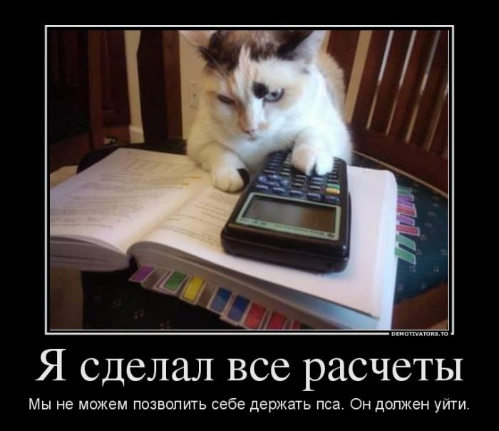 Демотиваторы