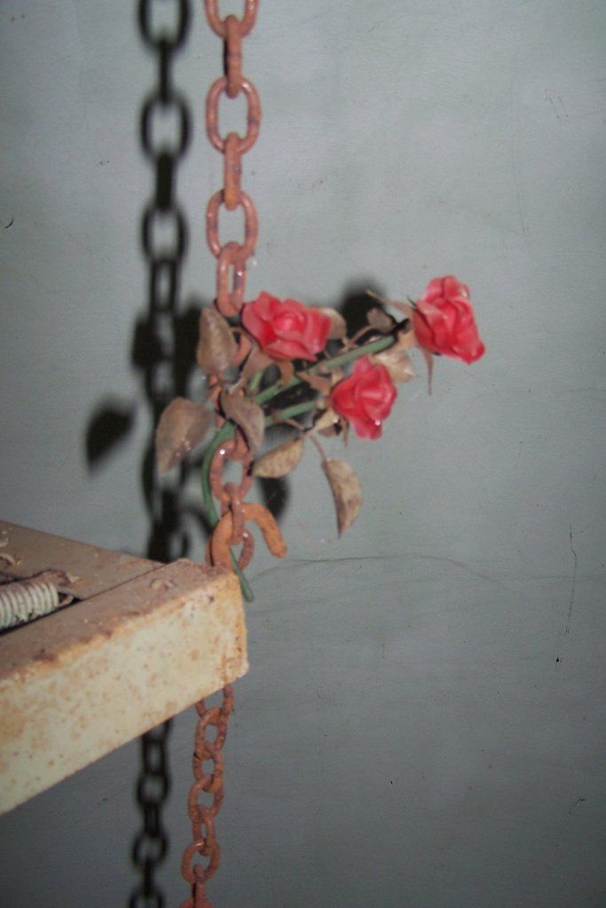 Американец купил дом с секретом