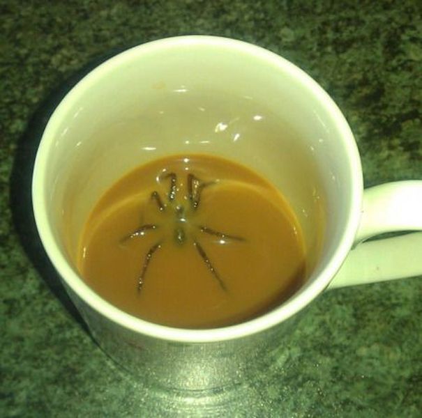 Прикольные картинки