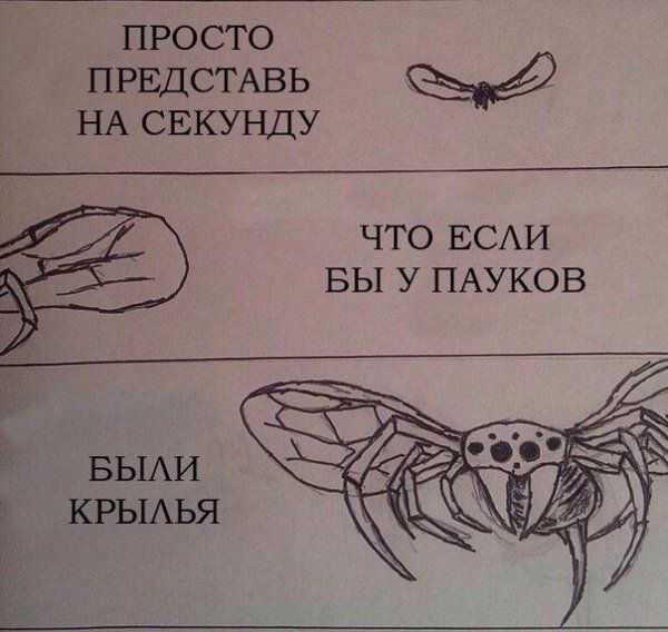 Прикольные картинки (75 фото)