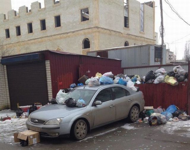 Прикольные картинки (75 фото)