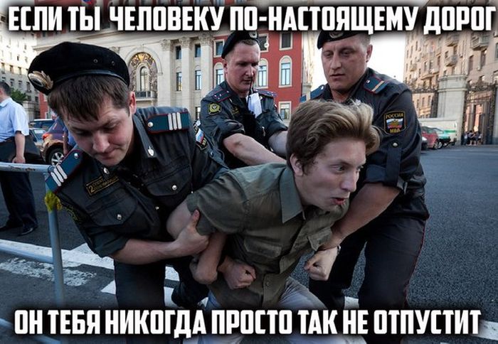 Порция картинок