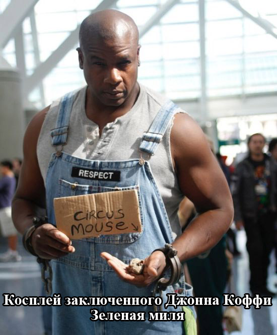 Порция картинок
