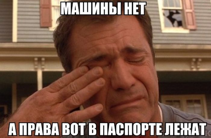 Порция картинок