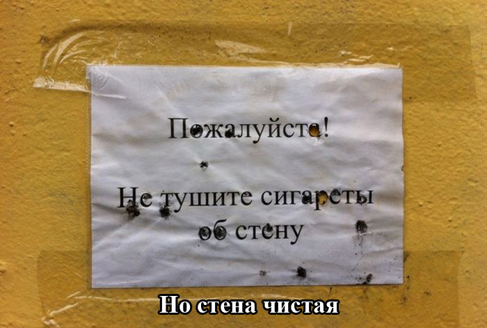 Порция картинок