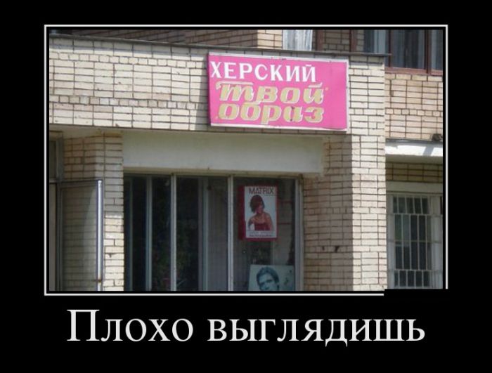 Демотиваторы