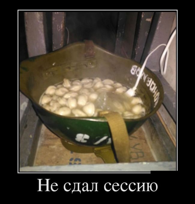 Демотиваторы