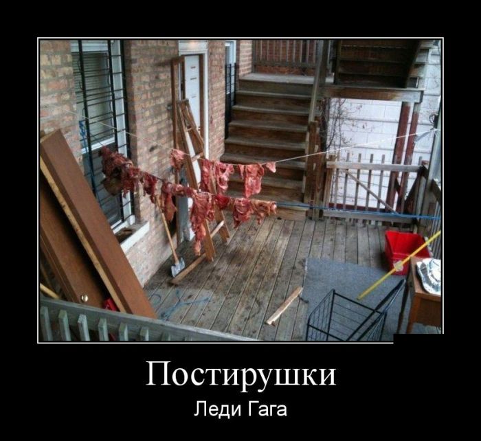 Демотиваторы