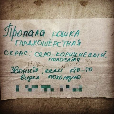 Солидарные соседи