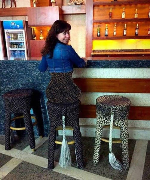 Веселые снимки, сделанные в самый подходящий момент