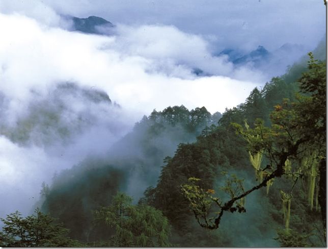 Цзючжайгоу. Ущелье девяти селений