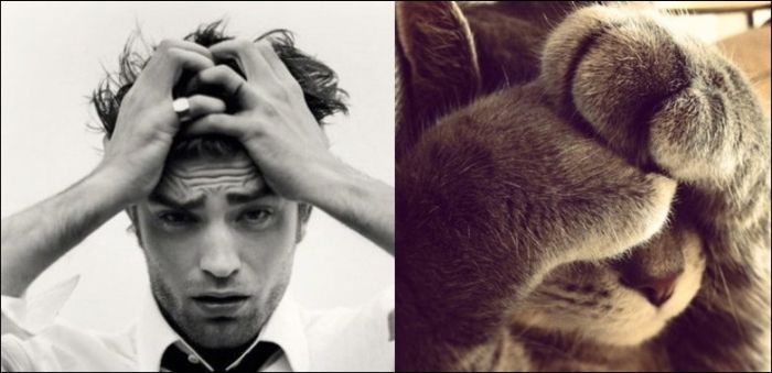 Коты и мужчины (30 фото)