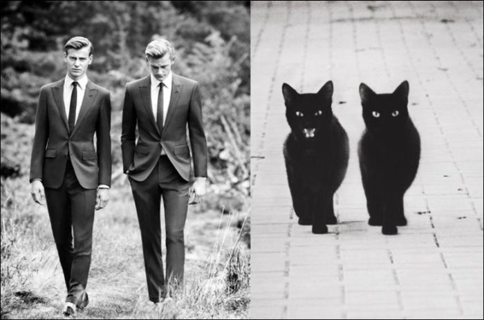 Коты и мужчины (30 фото)