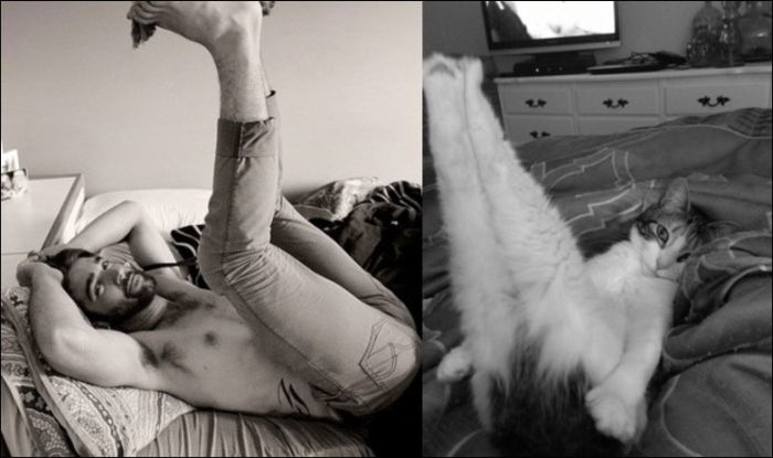 Коты и мужчины (30 фото)