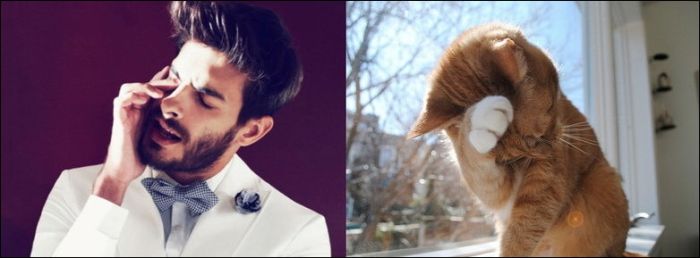 Коты и мужчины (30 фото)