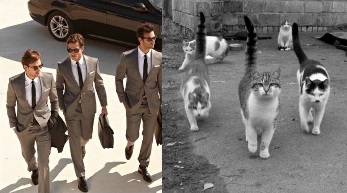 Коты и мужчины (30 фото)