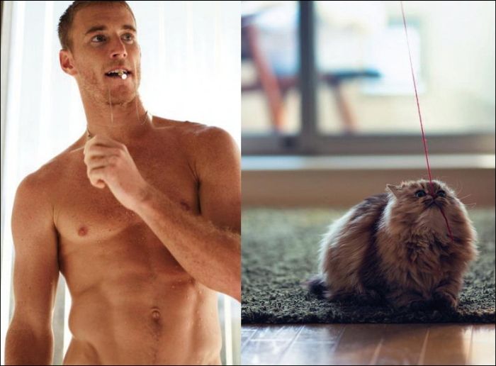 Коты и мужчины (30 фото)