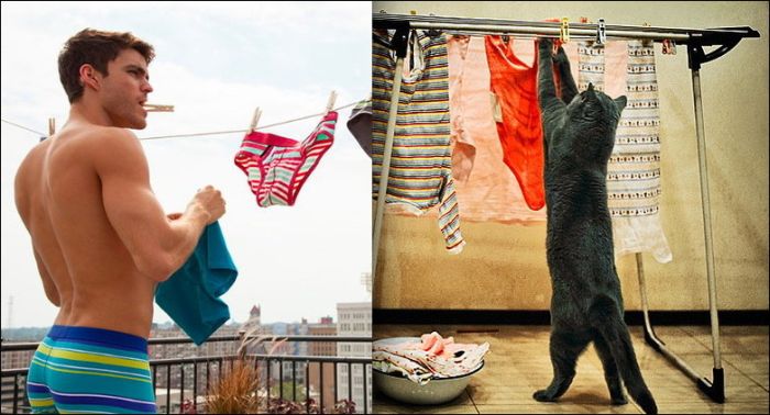 Коты и мужчины (30 фото)
