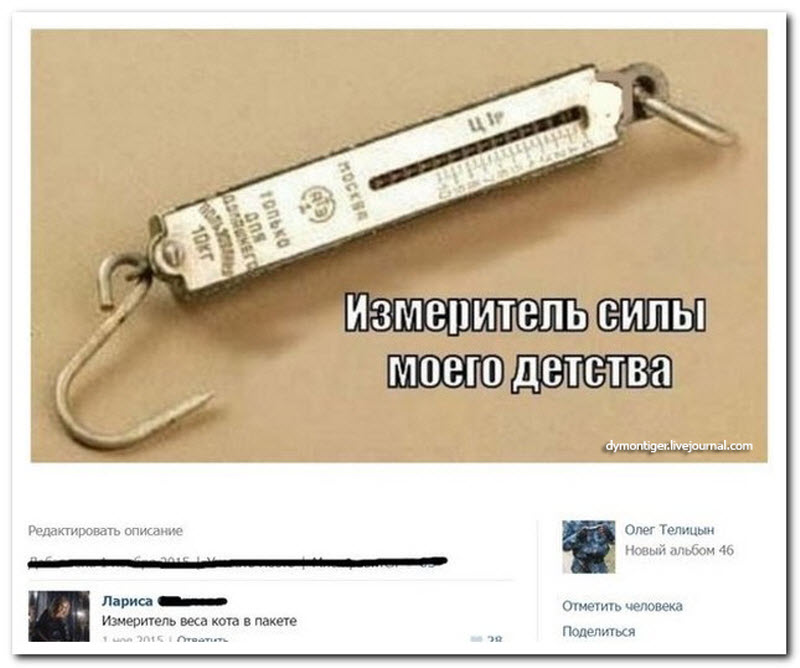 Прикольные картинки