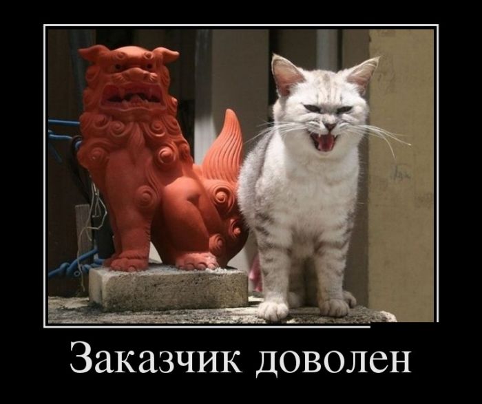 Демотиваторы