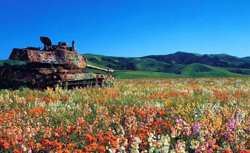 Военная техника, проглоченная дикой природой