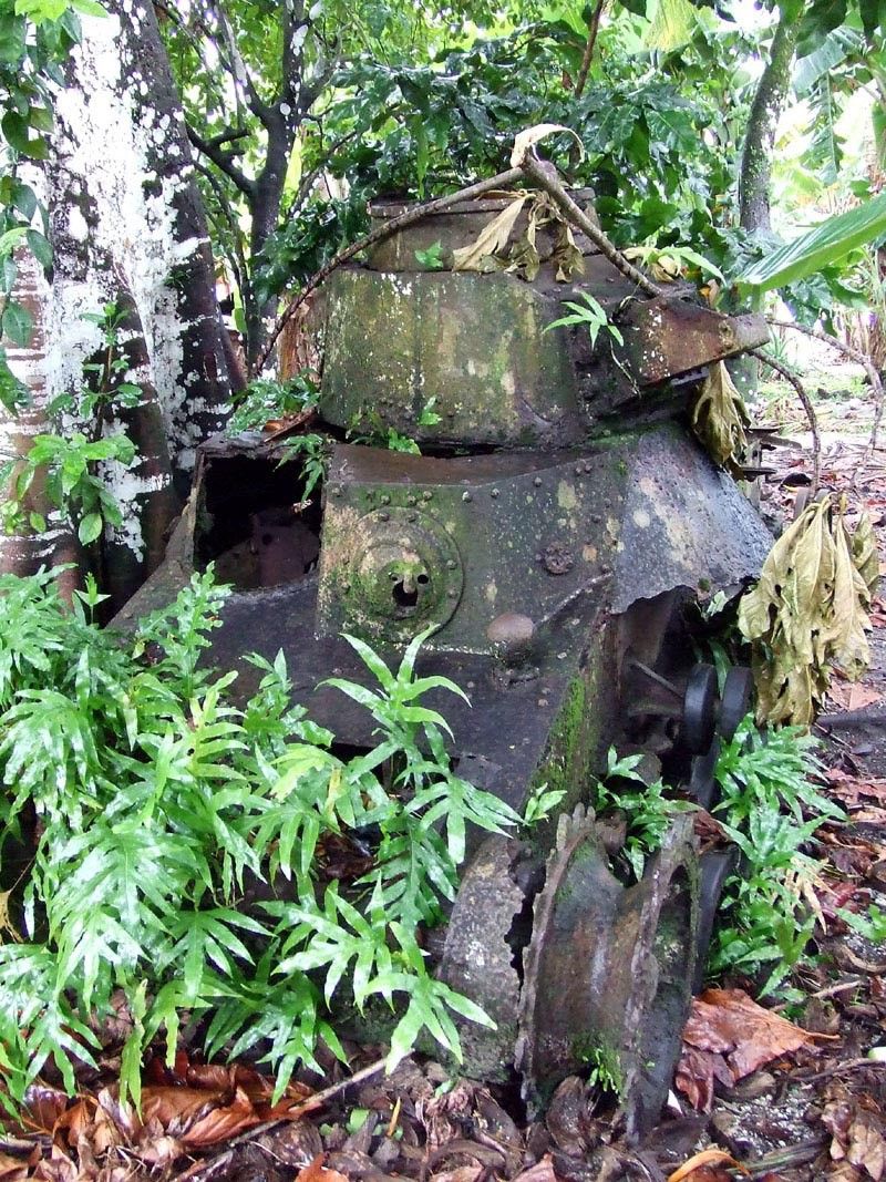 Военная техника, проглоченная дикой природой