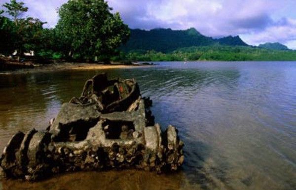 Военная техника, проглоченная дикой природой