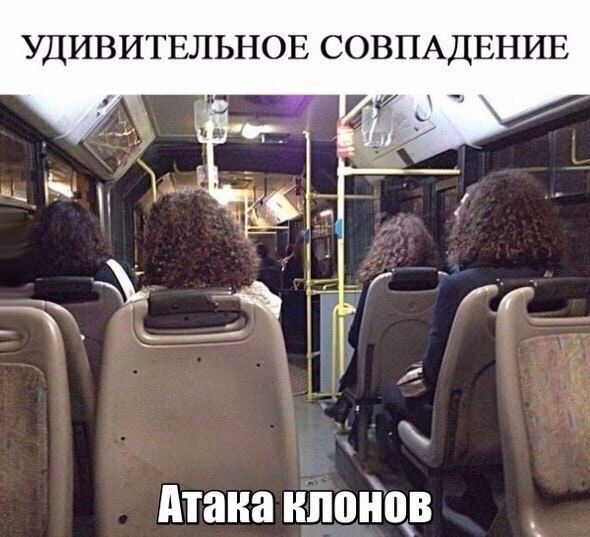 Прикольные картинки