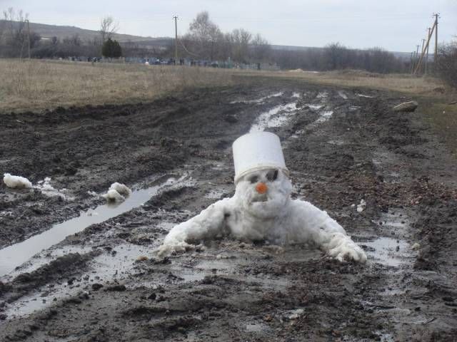 Прикольные картинки