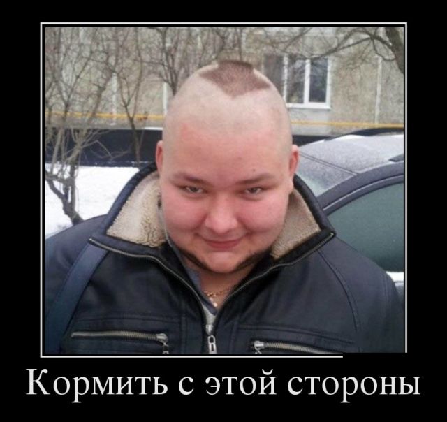 Демотиваторы