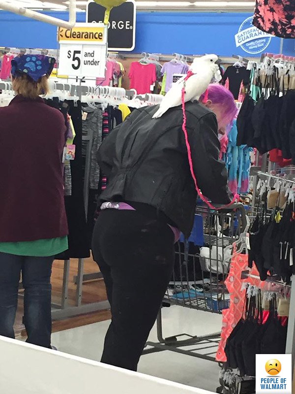 Экстравагантные покупатели Walmart