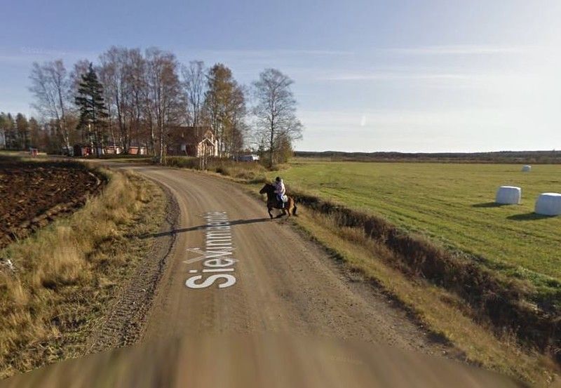 Трусливая лошадь повстречалась с автомобилем Google