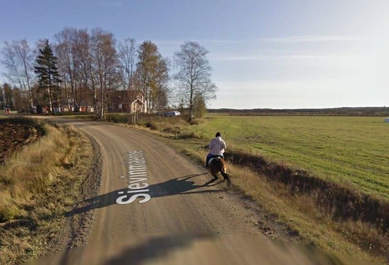 Трусливая лошадь повстречалась с автомобилем Google