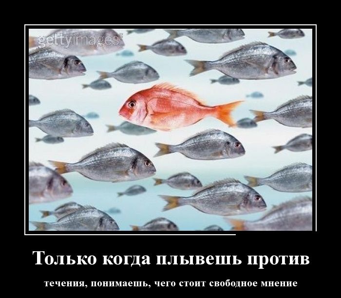 Демотиваторы