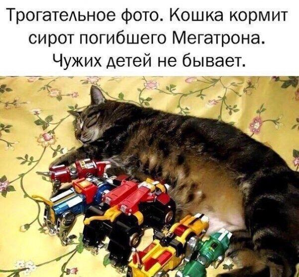 Подборка легкого юмора