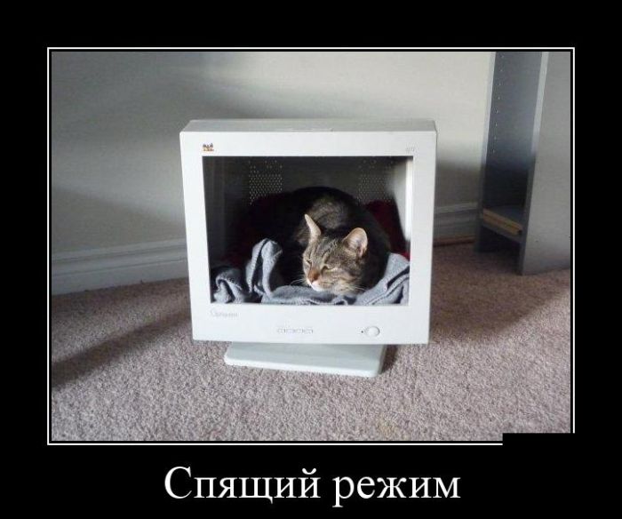 Демотиваторы