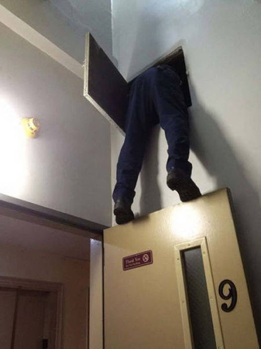 Вот почему женщины живут дольше мужчин