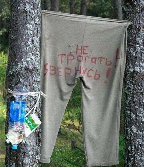 Смешные объявления, надписи и вывески