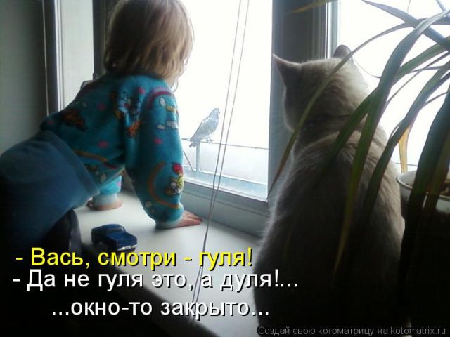 Лучшие котоматрицы недели