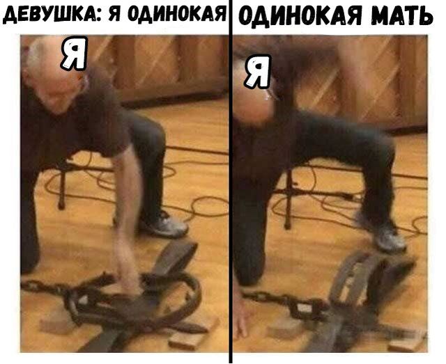 Прикольные картинки