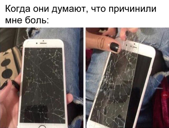 Прикольные картинки