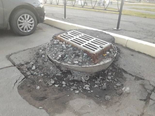 Прикольные картинки