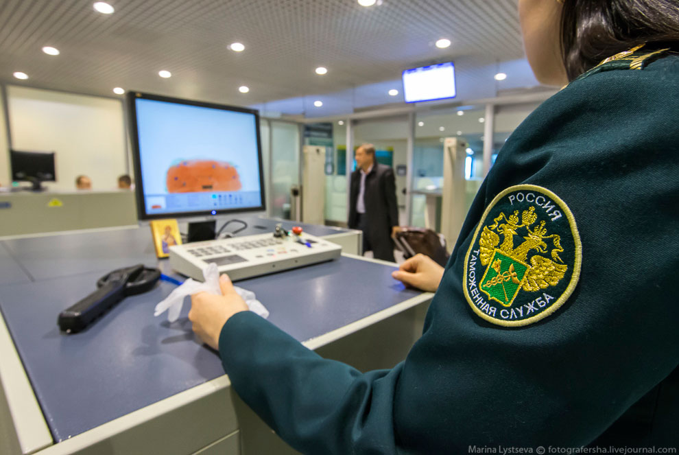 Как работает таможня в Домодедово