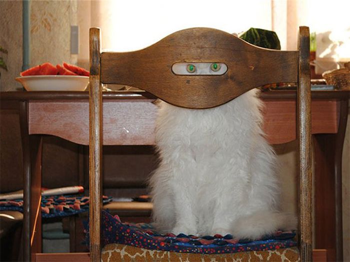 Порция картинок