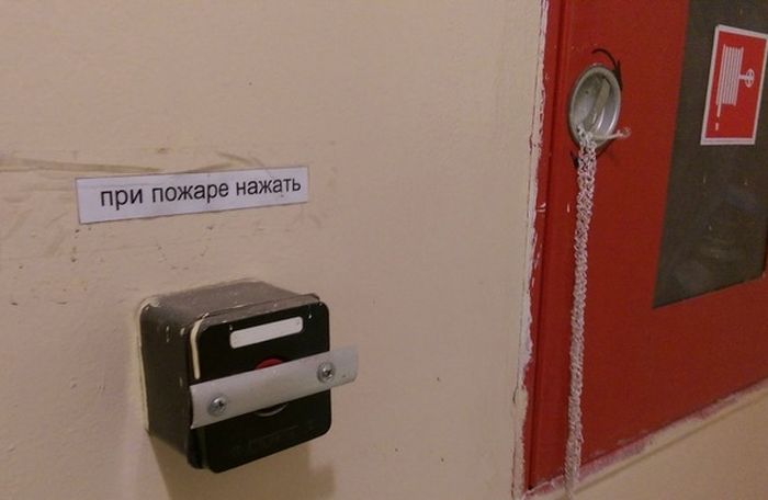Порция картинок